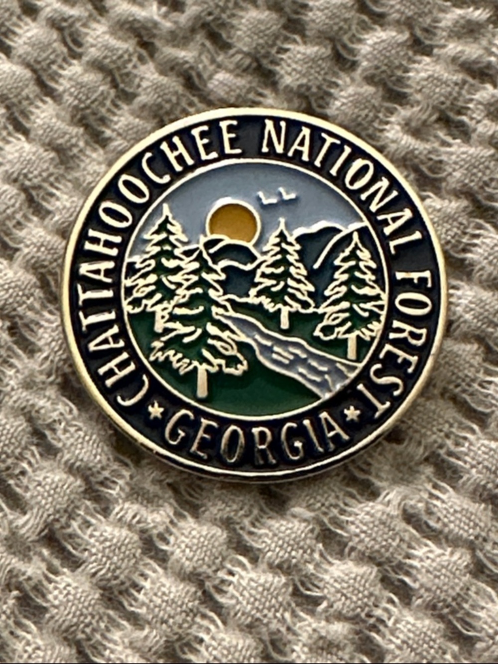 Chattahoochee National Forest Georgia Pin